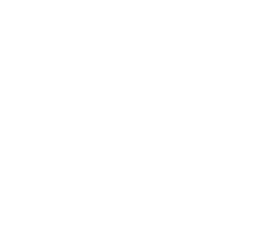 Sensation Group